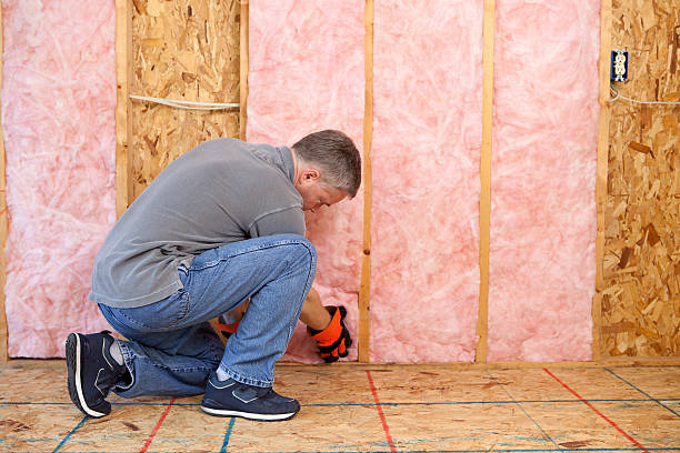 Best Insulation Installation Services in Yerington, NV